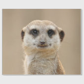 Meerkat_2015_0211 Cadeaupapier (Vlak)
