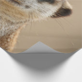 Meerkat_2015_0211 Cadeaupapier (Hoek)