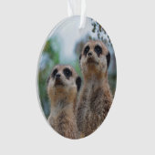 Meerkat_2015_0410 Ornament (voorkant)