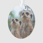 Meerkat_2015_0410 Ornament (voorkant)