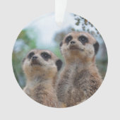 Meerkat_2015_0410 Ornament (voorkant)