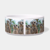 Meerkat_2015_0410 Voerbakje (Achterkant)