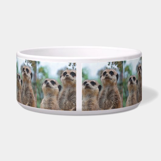 Meerkat_2015_0410 Voerbakje (Achterkant)