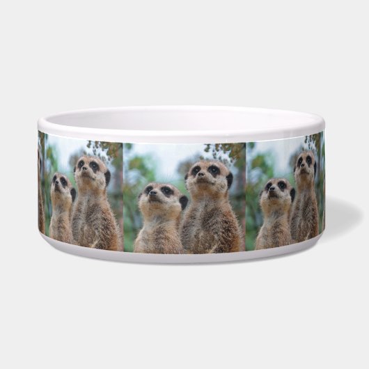 Meerkat_2015_0410 Voerbakje (Voorkant)