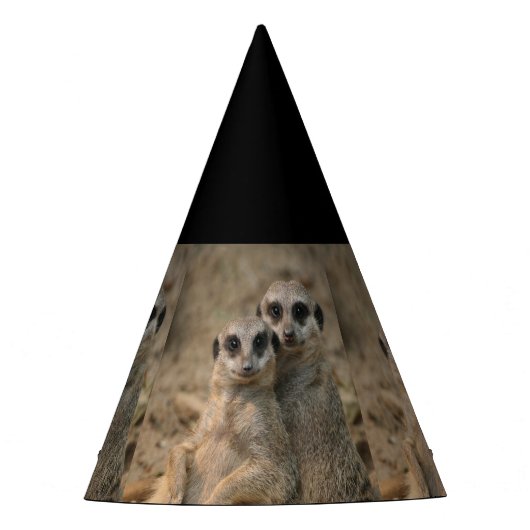 Meerkat_20170901_by_JAMFoto Feesthoedjes (Voorkant)
