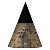 Meerkat_20170901_by_JAMFoto Feesthoedjes (Links)