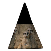 Meerkat_20170901_by_JAMFoto Feesthoedjes (Rechts)