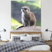 Meerkat_20171101_by_JAMFoto Canvas Afdruk (Insitu (Slaapkamer))