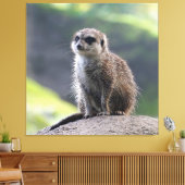 Meerkat_20171101_by_JAMFoto Canvas Afdruk (Insitu (Woonkamer))