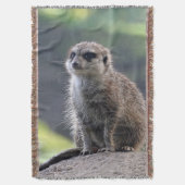 Meerkat_20171101_by_JAMFoto Deken (Voorkant Verticaal)