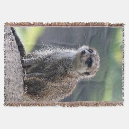 Meerkat_20171101_by_JAMFoto Deken (Voorkant)