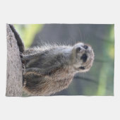 Meerkat_20171101_by_JAMFoto Theedoek (Horizontaal)