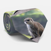 Meerkat_20180701_by_JAMFoto Stropdas (Opgerold)