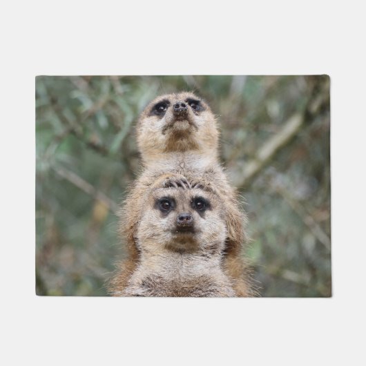 Meerkat 81 deurmat (Voorkant)