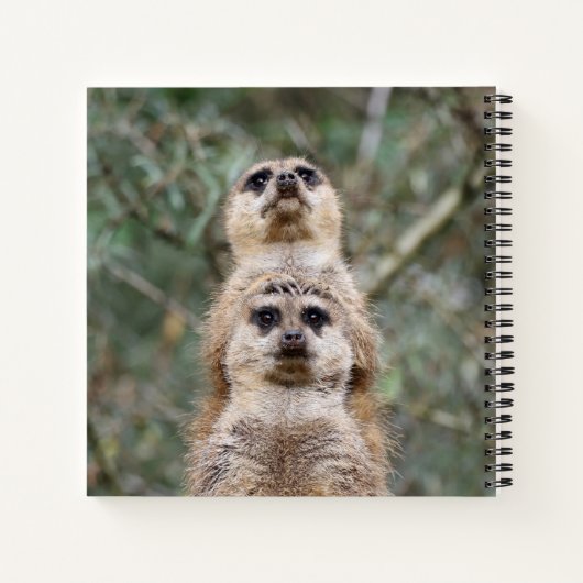 Meerkat 81 notitieboek (Achterkant)