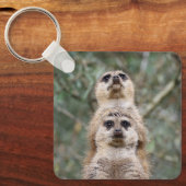 Meerkat 81 sleutelhanger (Voorkant)