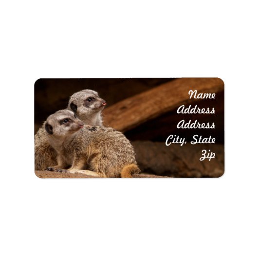 Meerkat Address Sticker (Voorkant)