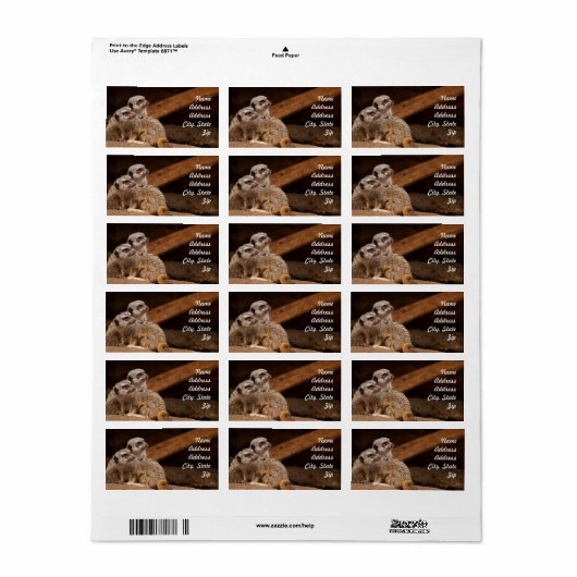 Meerkat Address Sticker (Full Sheet)