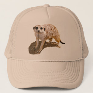Meerkat Afbeelding Trucker Hat Trucker Pet