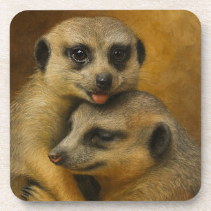 Meerkat Affection Bier Onderzetter