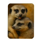 Meerkat Affection Magneet (Verticaal)