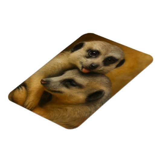 Meerkat Affection Magneet (Linkerzijde)