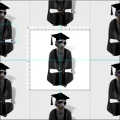 Meerkat Afstuderen met Diploma Stof (Delen)