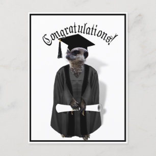 Meerkat Afstuderen W/Gray Gown & Black Sash Briefkaart