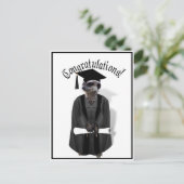 Meerkat Afstuderen W/Gray Gown & Black Sash Briefkaart (Staand voorkant)