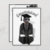 Meerkat Afstuderen W/Gray Gown & Black Sash Briefkaart (Voorkant / Achterkant)