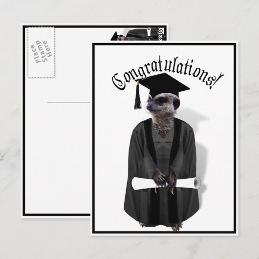Meerkat Afstuderen W/Gray Gown & Black Sash Briefkaart (Voorkant / Achterkant)