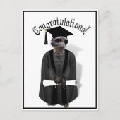 Meerkat Afstuderen W/Gray Gown & Black Sash Briefkaart (Voorkant)