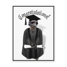 Meerkat Afstuderen W/Gray Gown & Black Sash