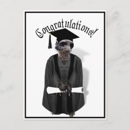 Meerkat Afstuderen W/Gray Gown & Black Sash Briefkaart