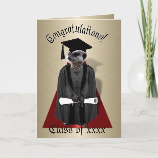 Meerkat Afstuderen W/Gray Gown & Black Sash Kaart (Voorkant)