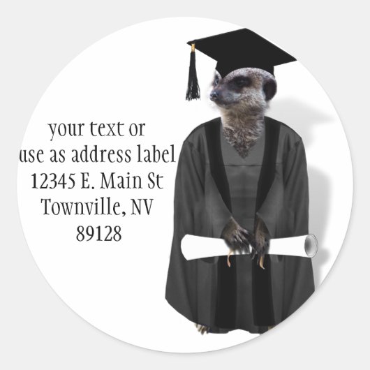 Meerkat Afstuderen W/Gray Gown & Black Sash Ronde Sticker (Voorkant)