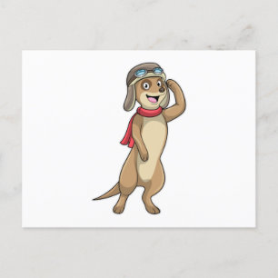Meerkat als piloot met pet van piloot briefkaart