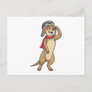 Meerkat als piloot met pet van piloot briefkaart