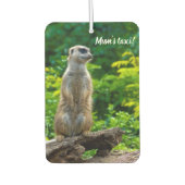 Meerkat Auto luchtverfrisser (Voorkant)