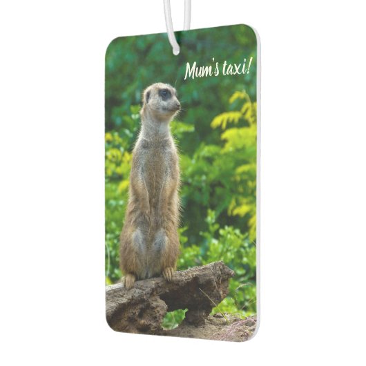 Meerkat Auto luchtverfrisser (Links)