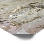 Meerkat Baby Sitter en pups (Suricata Suricata) Poster (Hoek)