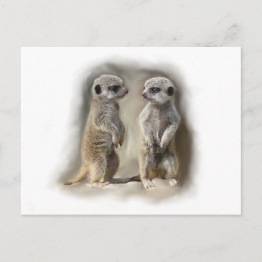 Meerkat baby twins briefkaart (Voorkant)