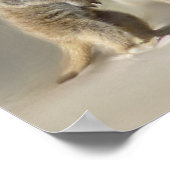 Meerkat baby twins poster (Hoek)