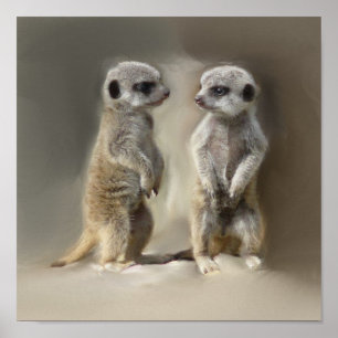 Meerkat baby twins poster