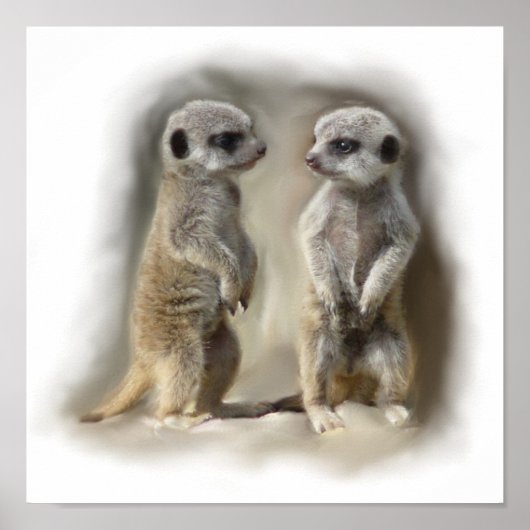Meerkat baby twins poster (Voorkant)