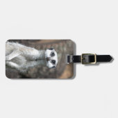 Meerkat Bagagelabel (Voorkant horizontaal)