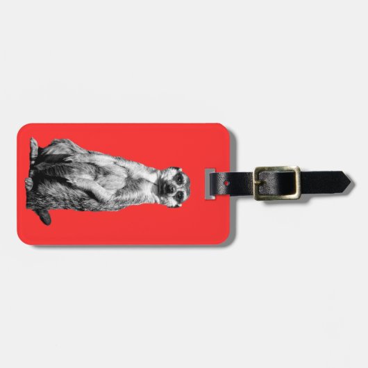 Meerkat Bagagelabel (Voorkant horizontaal)