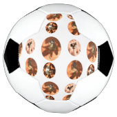 Meerkat Ball Shape, Voetbal (Gedraaid)
