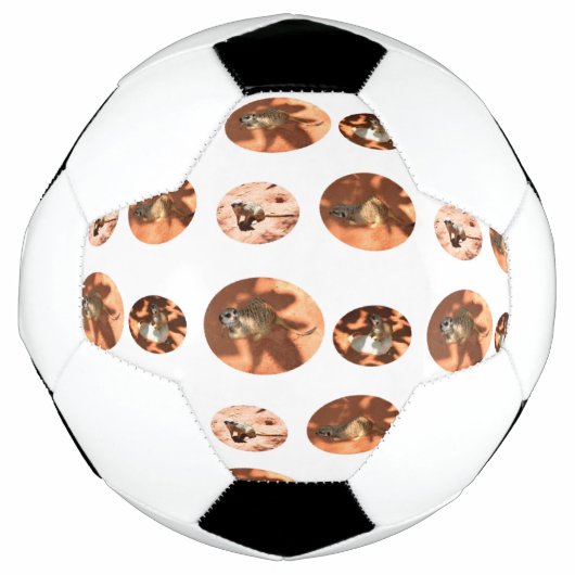 Meerkat Ball Shape, Voetbal (Voorkant)
