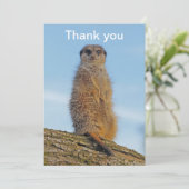 Meerkat Bedankkaart (Staand voorkant)